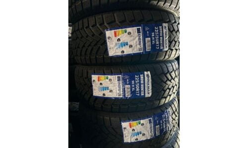 DELMAX 225/50/R17 Winter