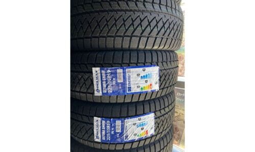DELMAX 225/55/R19 Winter